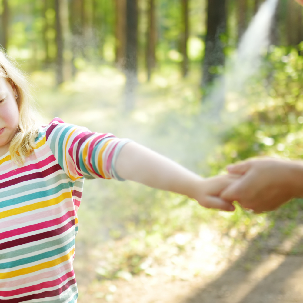 Flying & Stinging Insect control in CT